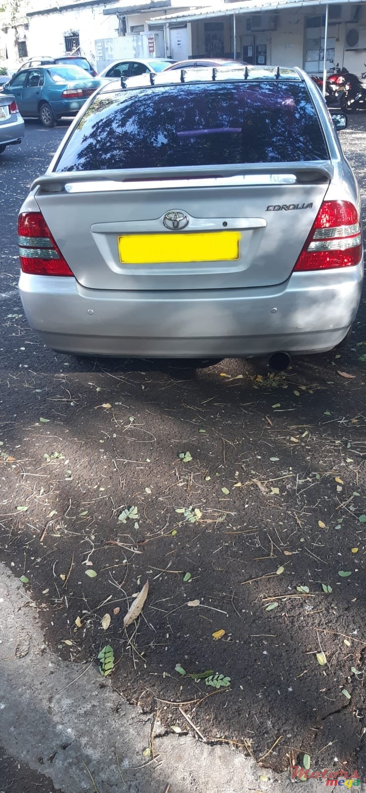 2003' Toyota Corolla photo #3