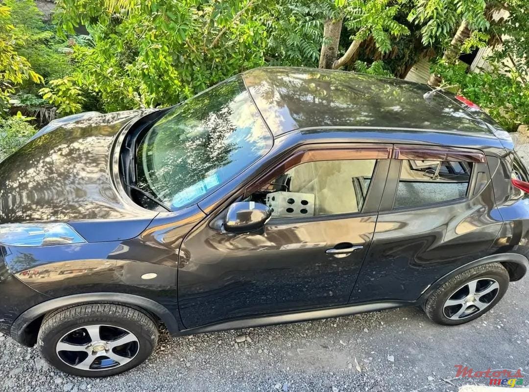 2010' Nissan Juke photo #3