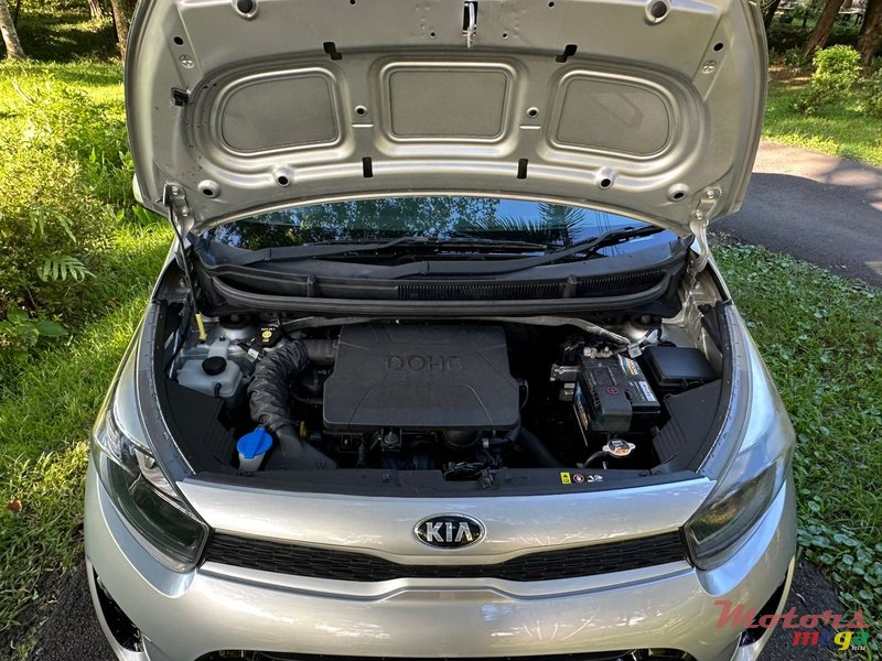 2019' Kia Picanto photo #5