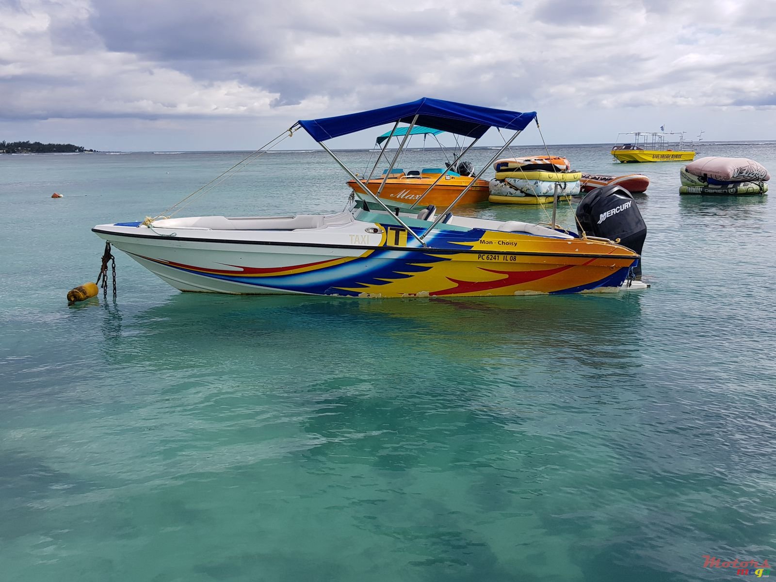 2007' Cobra photo #2