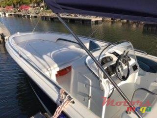 2009' Cobra photo #6