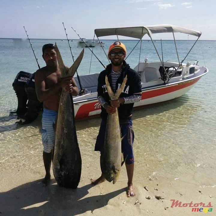 2008' Tremlett photo #4