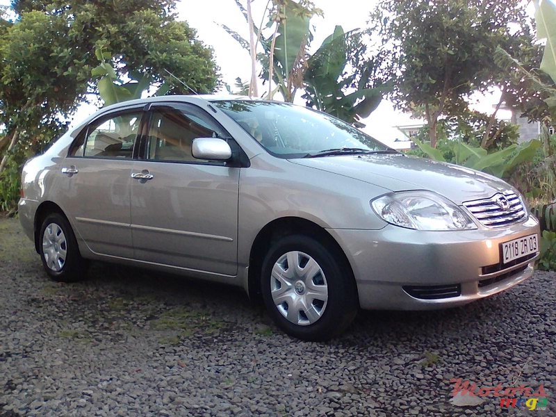 2003' Toyota Corolla photo #2