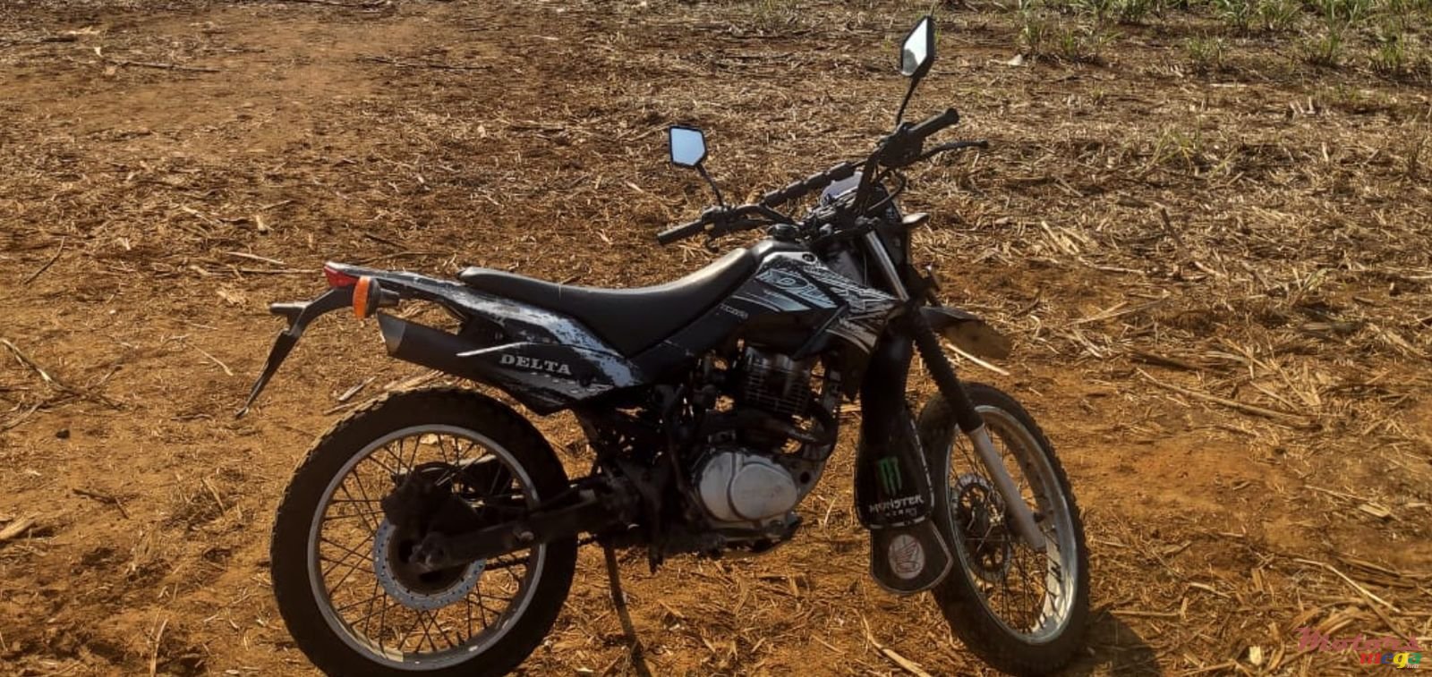 2014' Delta photo #2