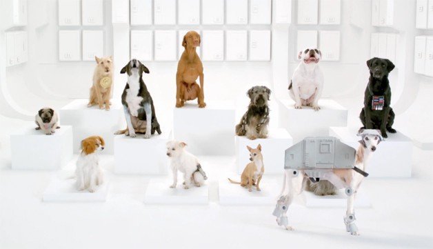 How Volkswagen Came Up with its "Bark Side" Star Wars Dog Ad