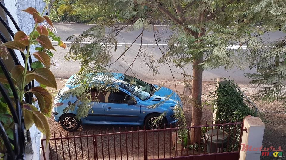 2001' Peugeot 206 photo #2