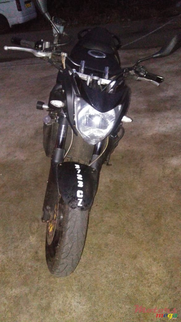 2009' Kawasaki photo #4