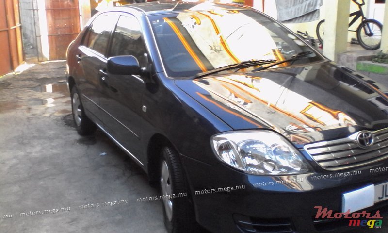 2005' Toyota Corolla photo #1