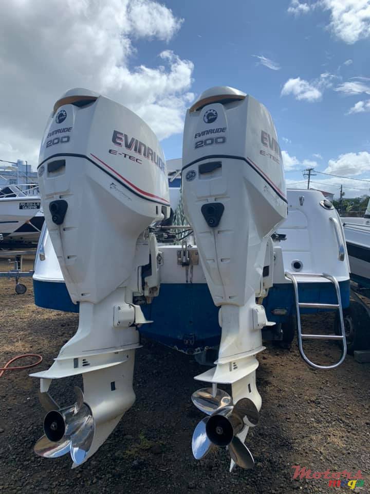 2010' Cobra photo #2