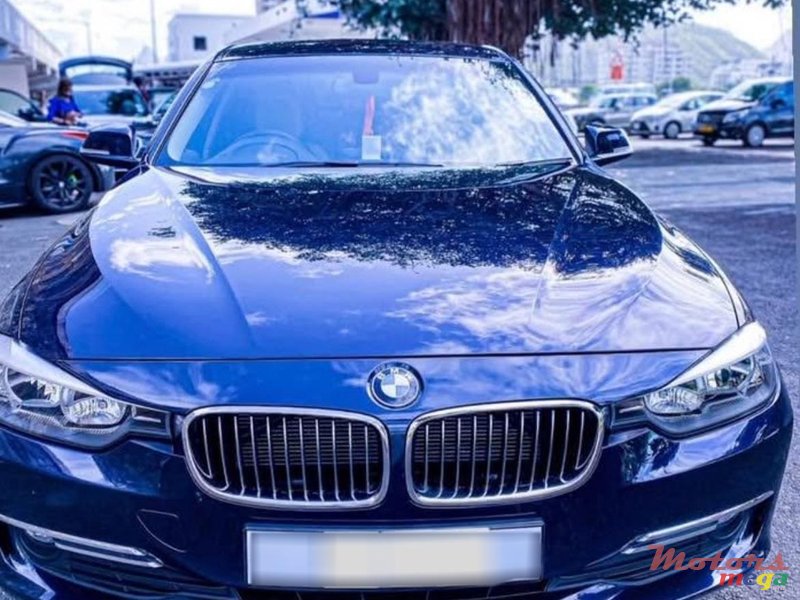 2013' BMW 316 photo #1