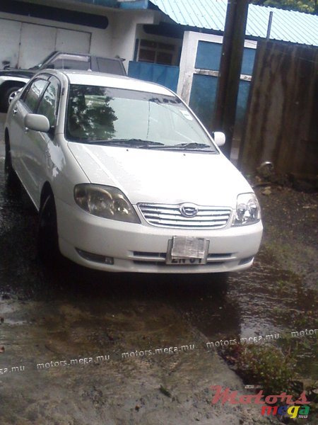 2001' Toyota Corolla nze photo #1