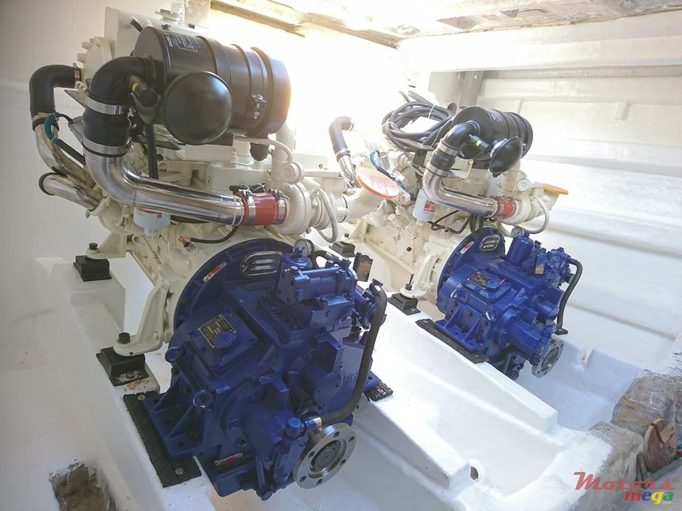 2020' Albin MARIN photo #2