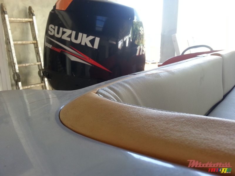 2017' Cobra photo #5