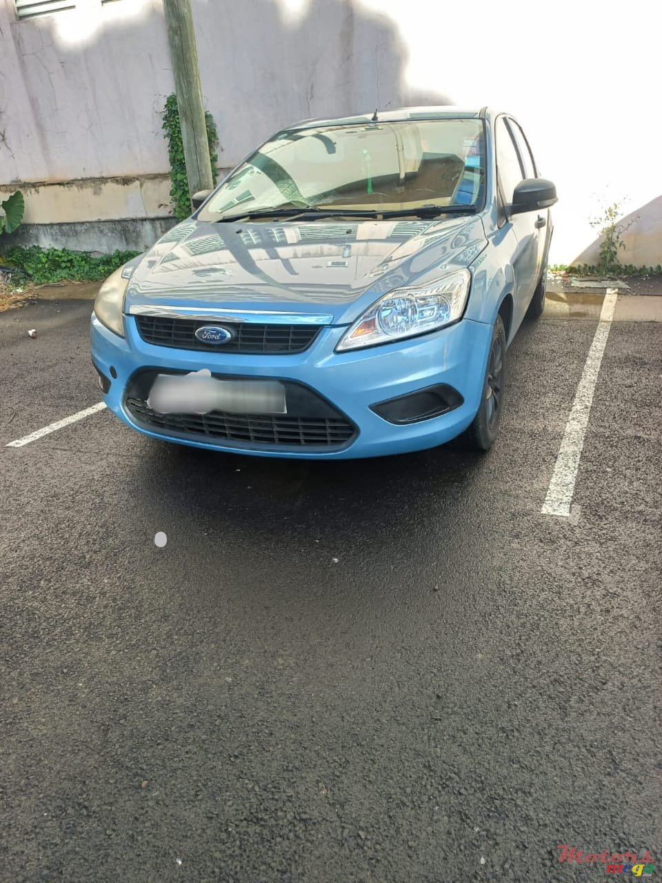 2009' Ford Focus photo #3