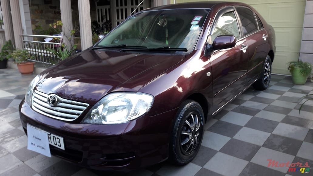 2003' Toyota Corolla photo #3