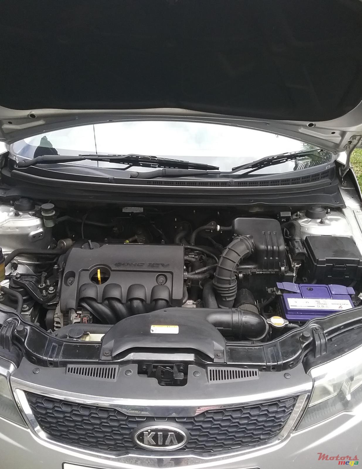 2011' Kia Cerato photo #5