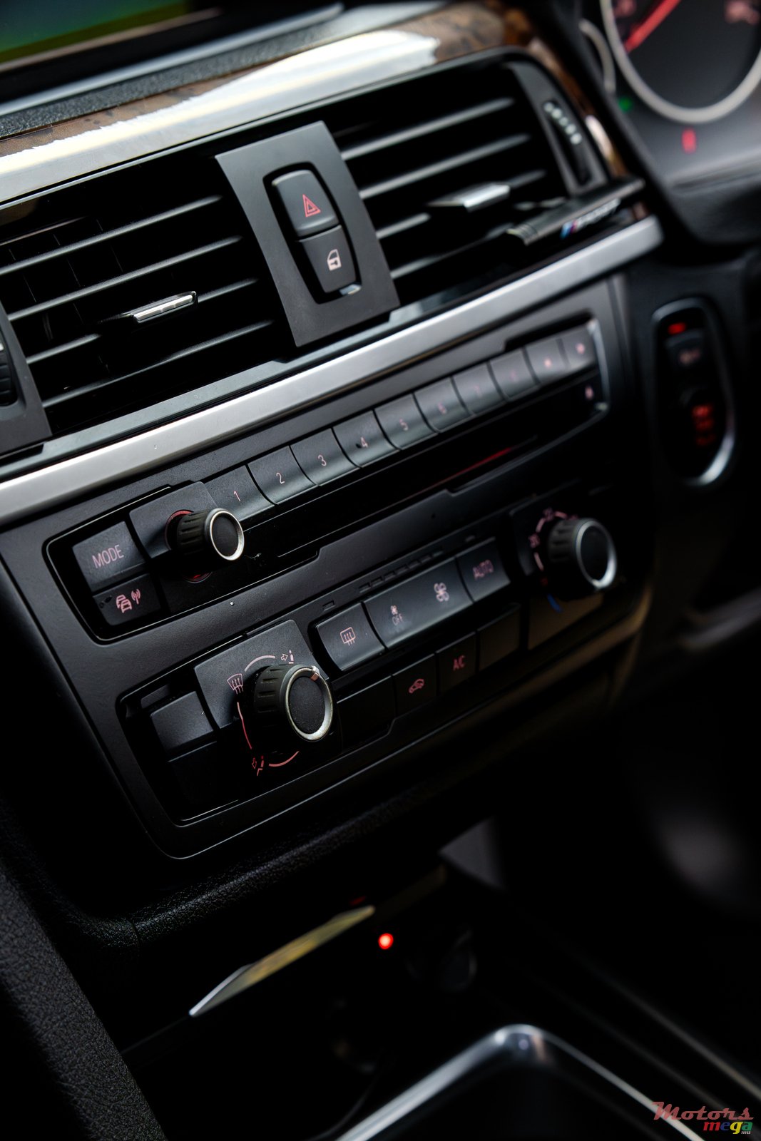 2013' BMW 316 photo #5