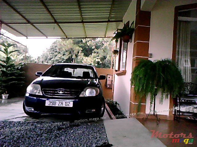 2002' Toyota Corolla LX photo #1