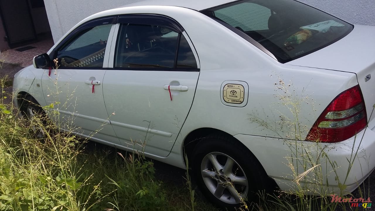 2003' Toyota photo #3