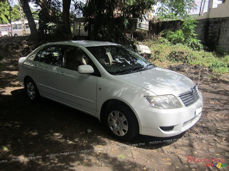 2006' Toyota Corolla Nze G photo #2