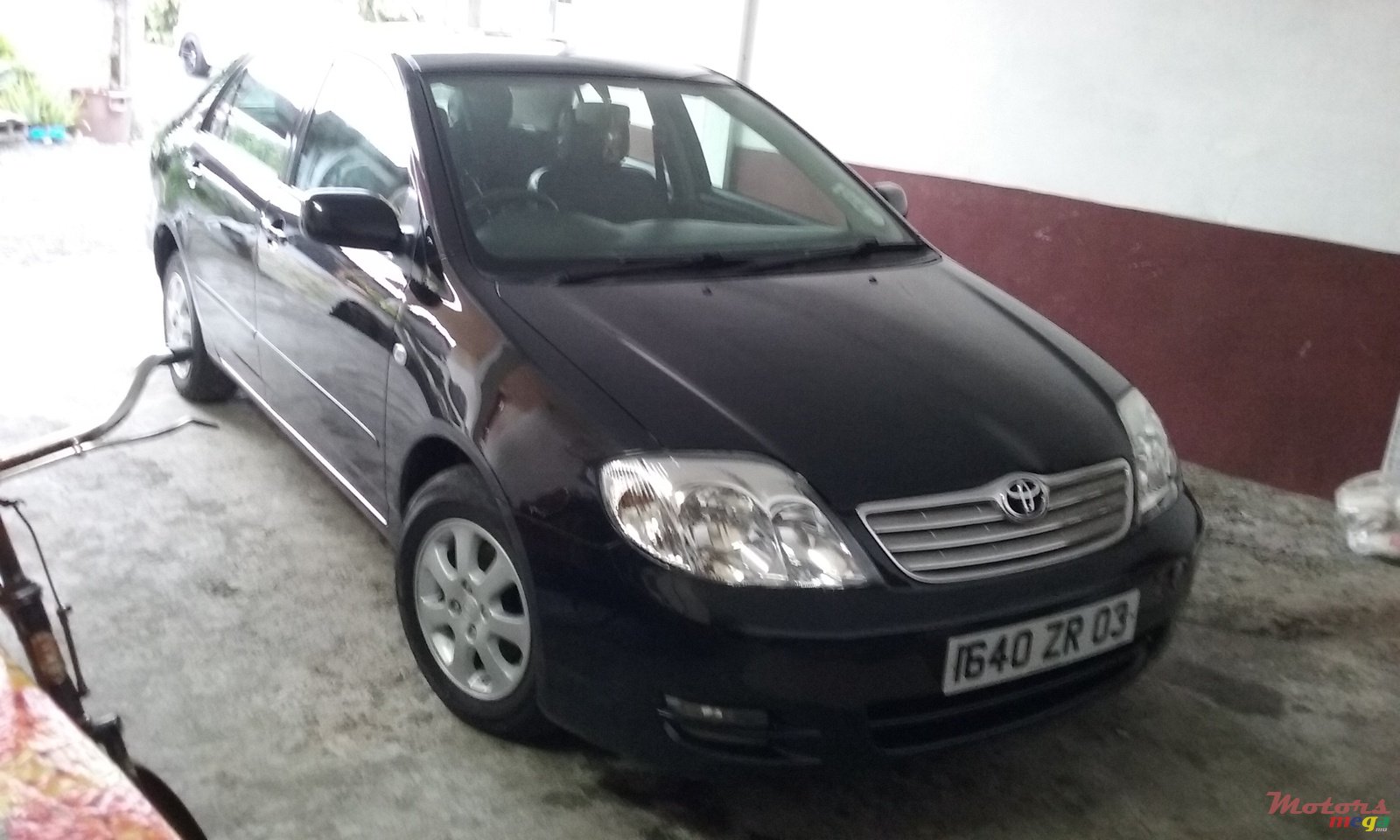 2003' Toyota Corolla photo #1