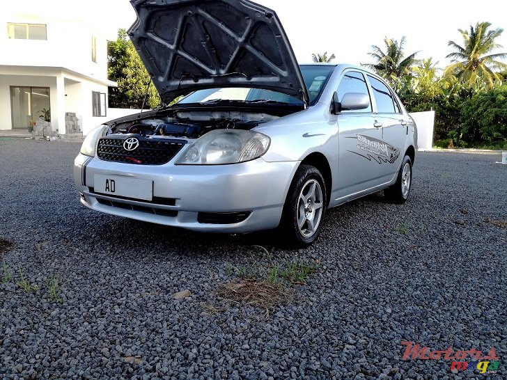 2001' Toyota Corolla NZE AD 1095 NUM INCLUDED photo #6