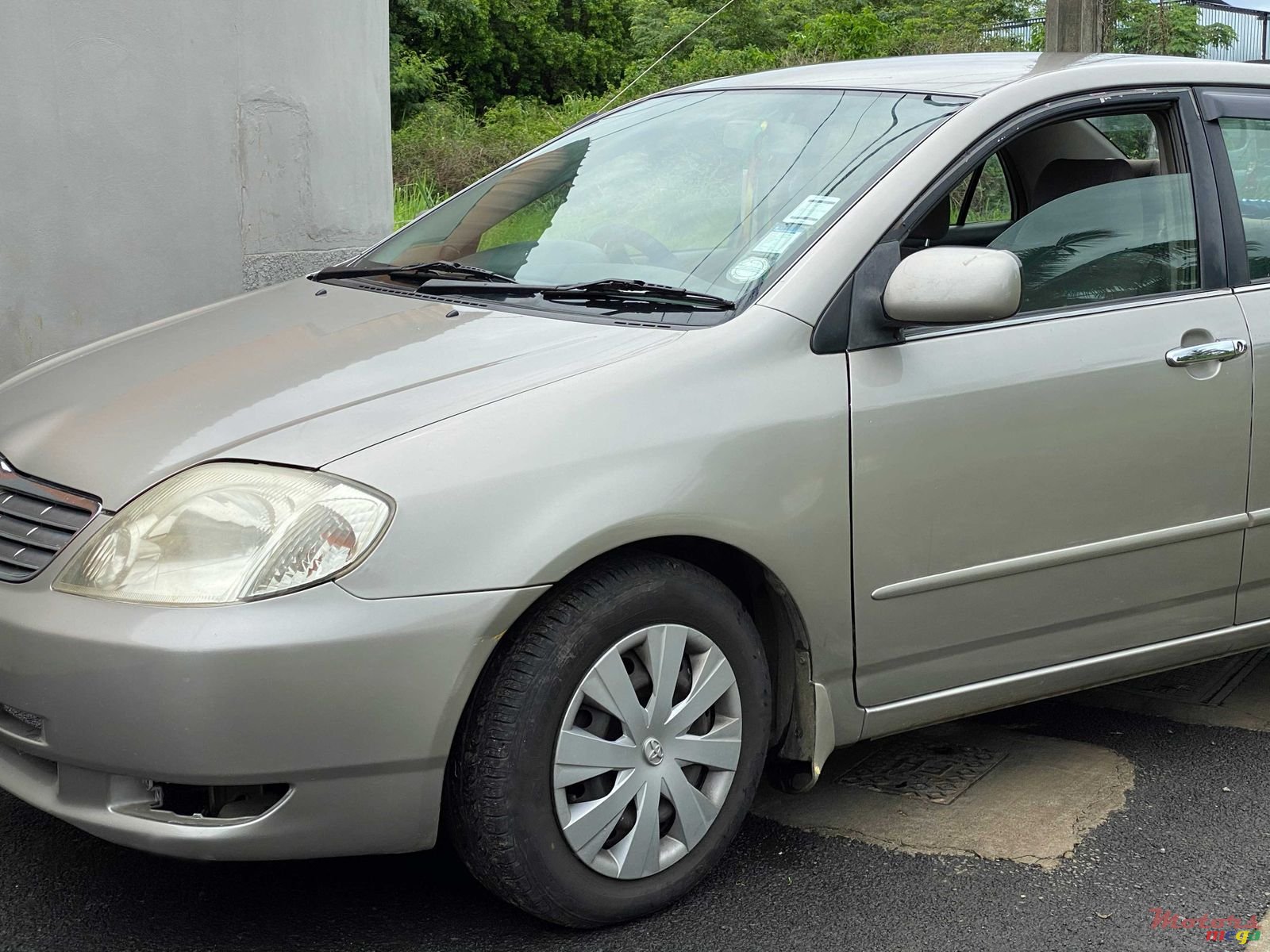 2001' Toyota Corolla photo #3