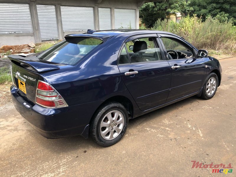 2003' Toyota Corolla photo #1