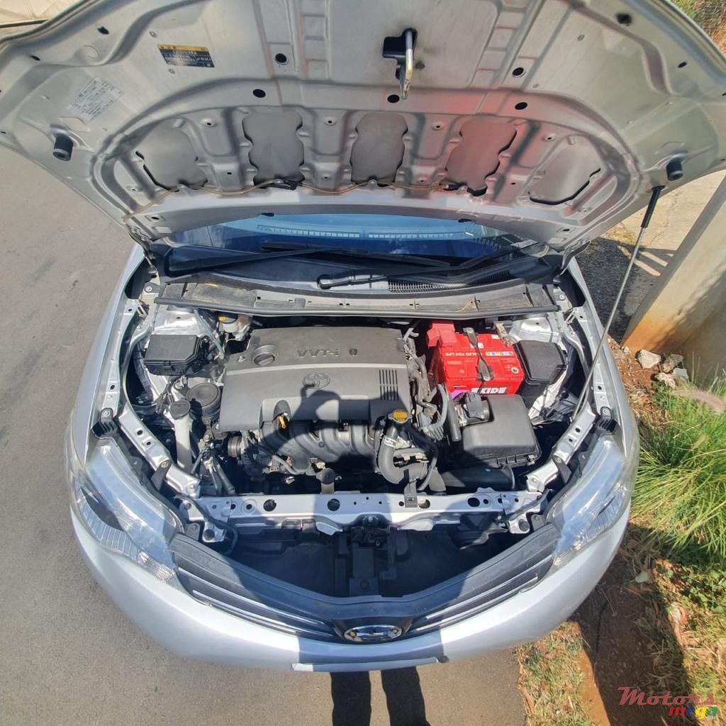 2014' Toyota Axio photo #4