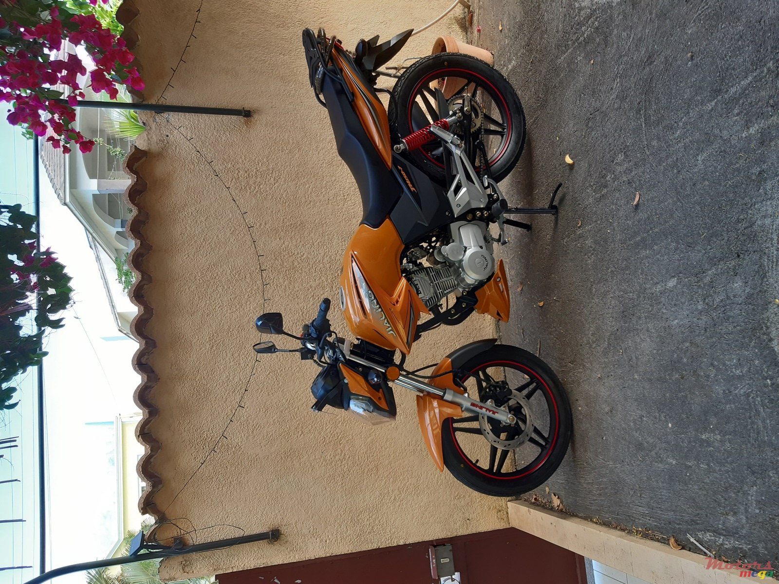 2019' Jailing tow wheeler photo #1