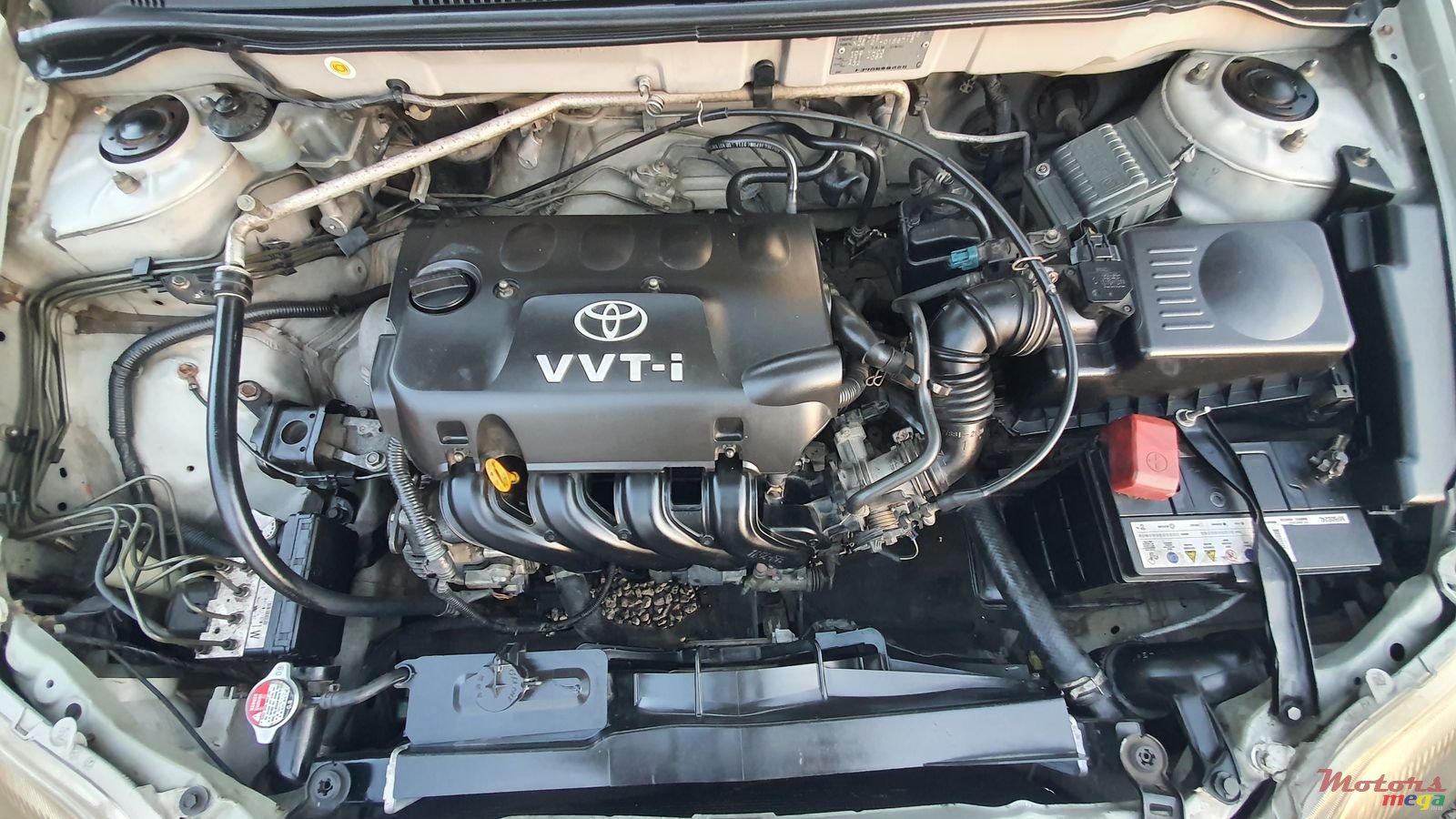 2002' Toyota Corolla photo #6