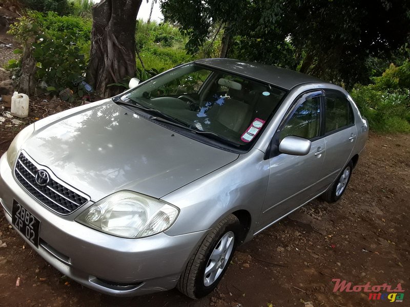 2002' Toyota Corolla NZE photo #1