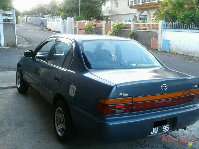 1995' Toyota Corolla photo #1