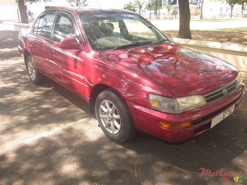 1992' Toyota Corolla EE100 GL photo #1