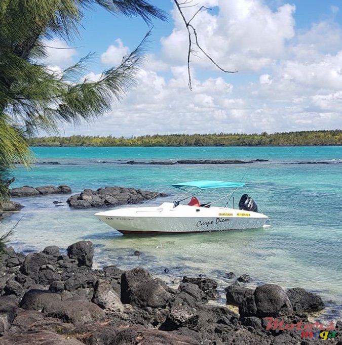1996' Cobra Cobra 19 OPV photo #1