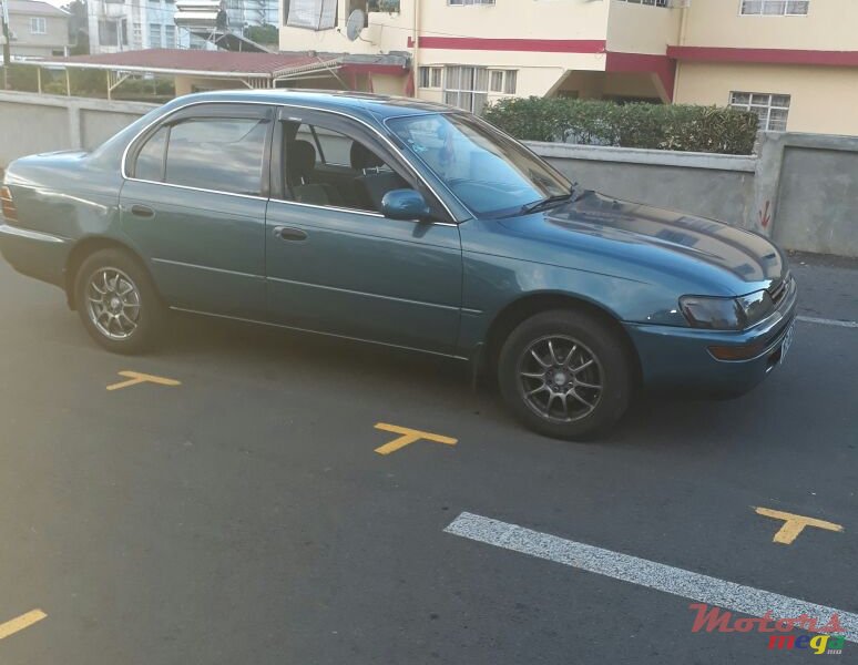 1995' Toyota Corolla photo #1