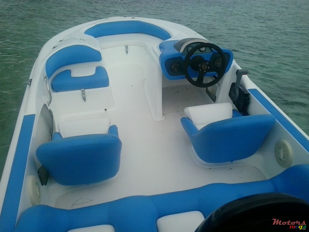 2013' Cobra photo #2