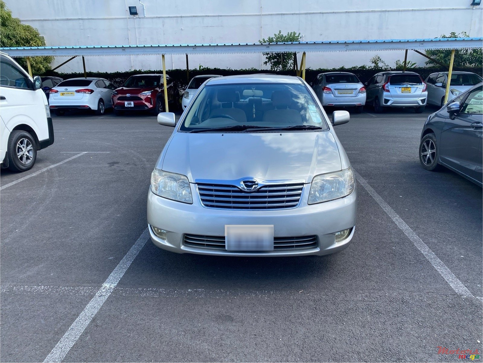 2004' Toyota Corolla NZE photo #1