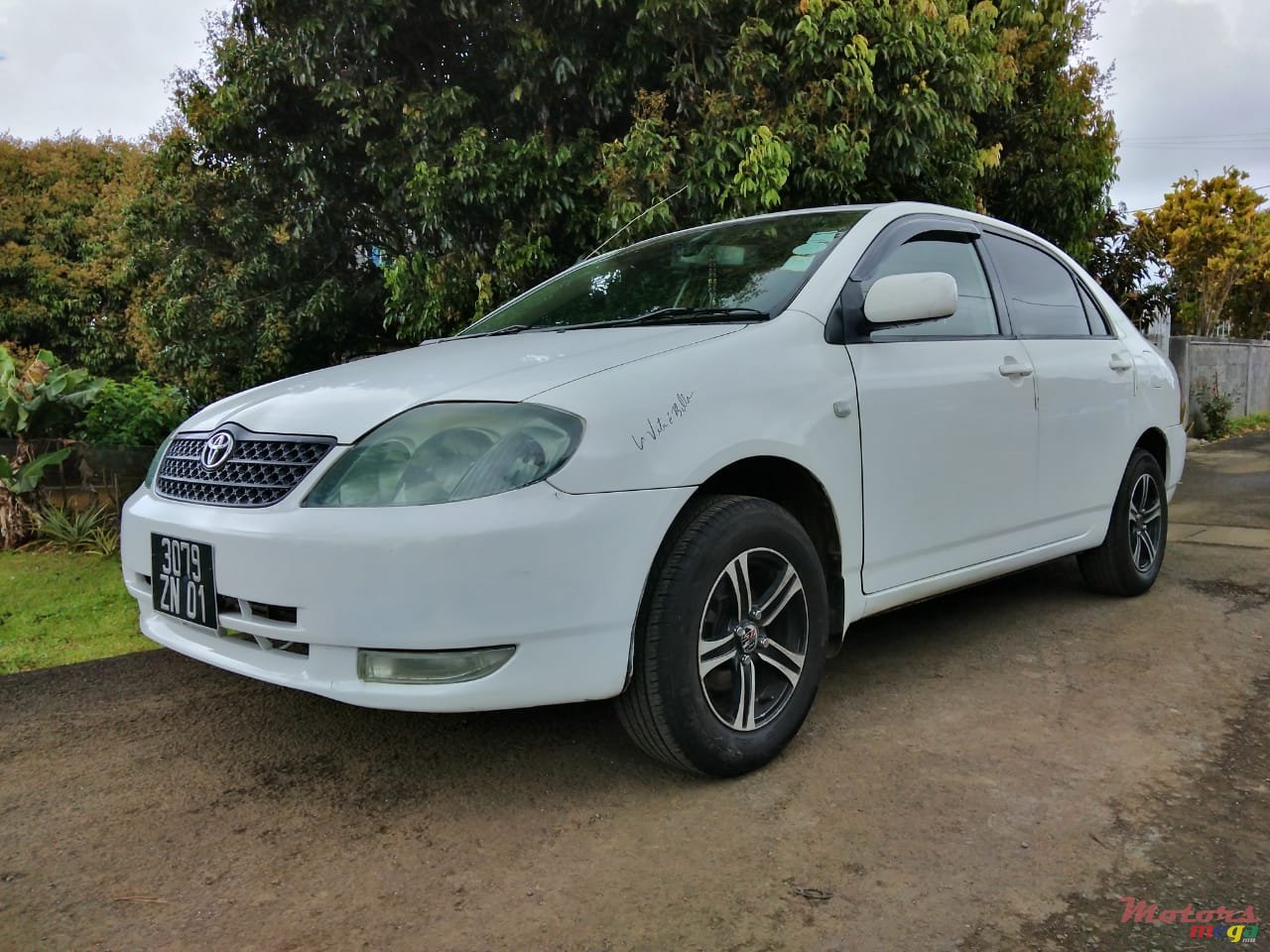 2001' Toyota Corolla photo #1