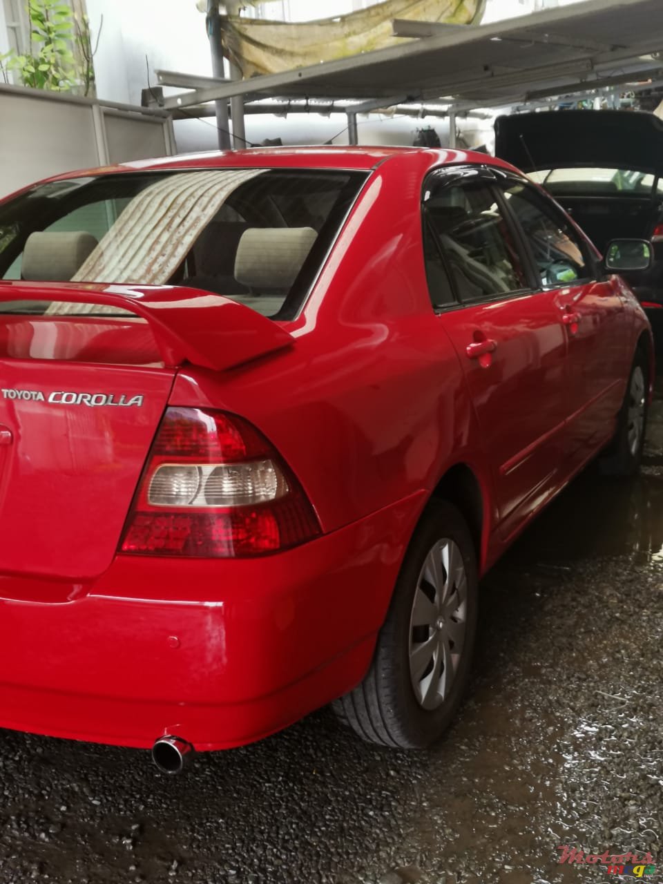 2001' Toyota Corolla NZE photo #2