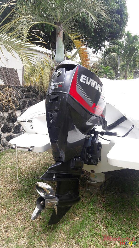 2007' Cobra photo #5