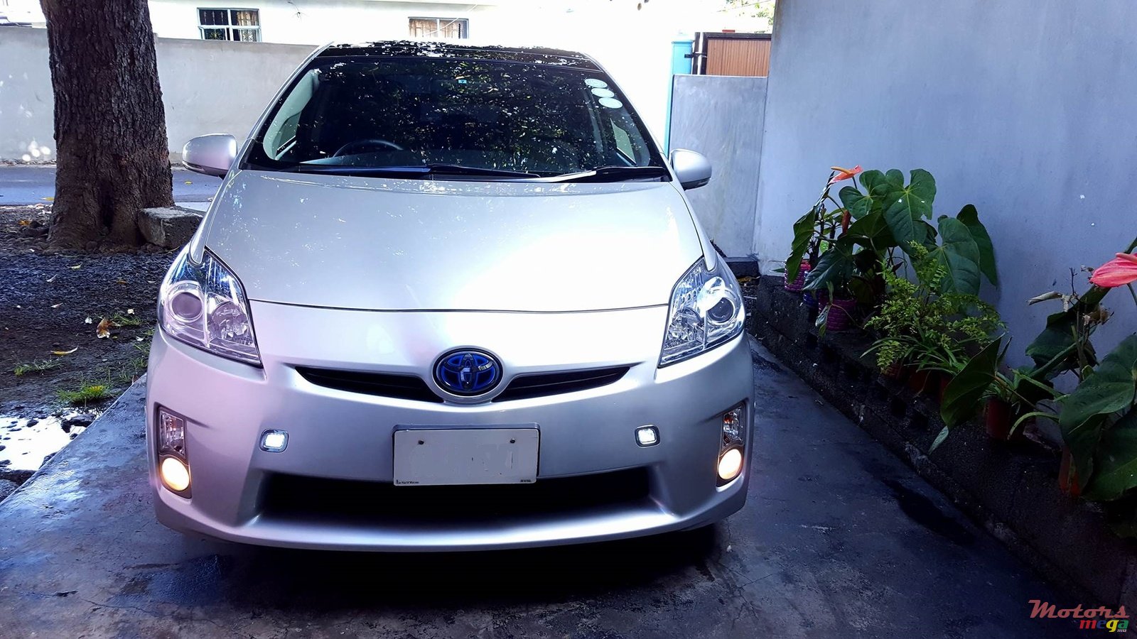 2009' Toyota Prius photo #1