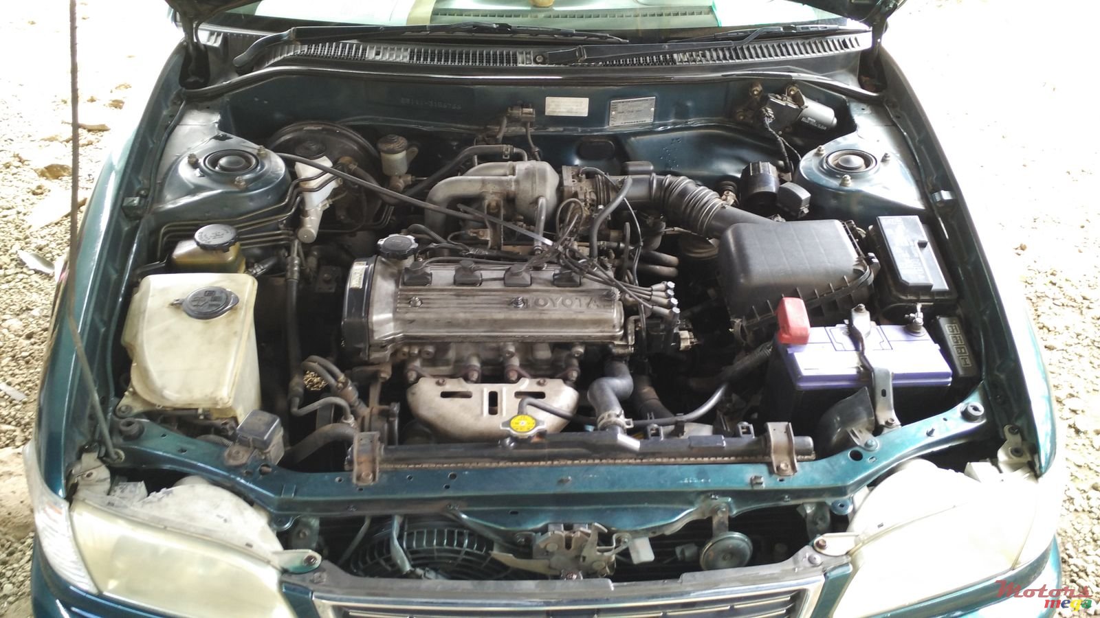 1999' Toyota Corolla photo #3