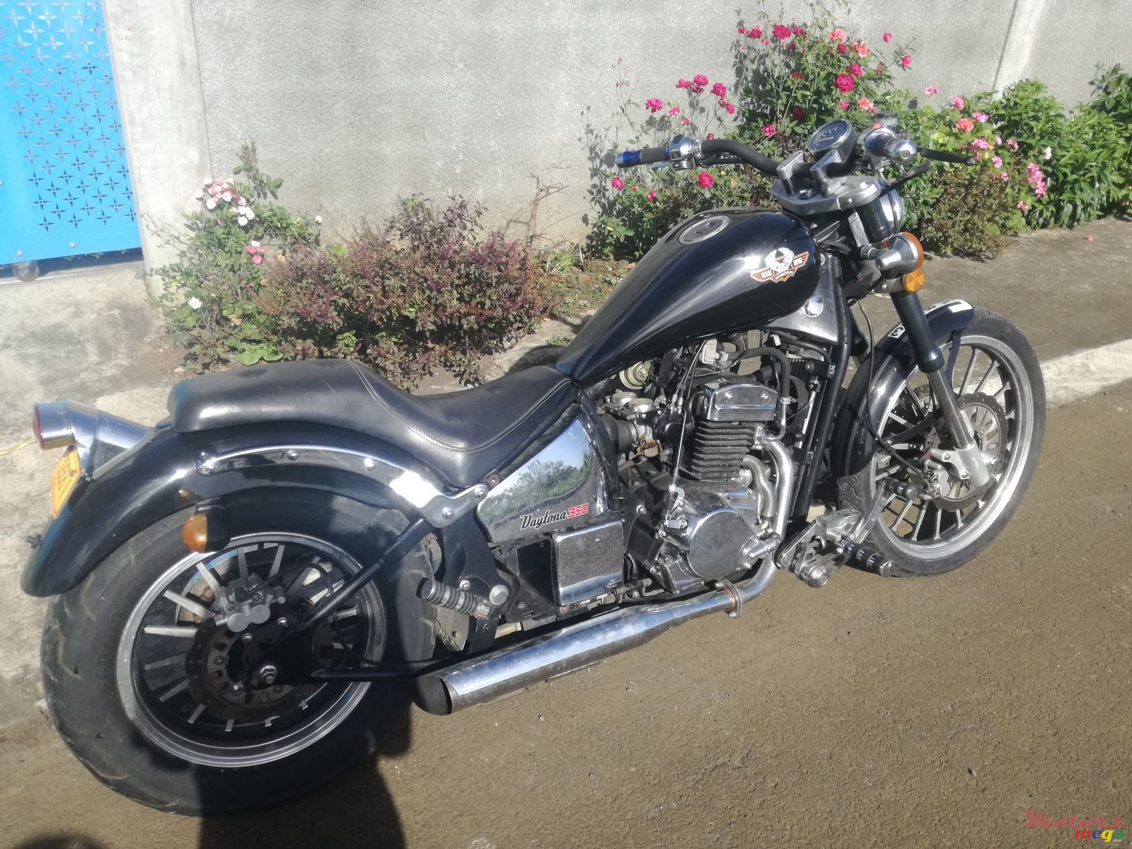 2010' Regal-Raptor photo #1