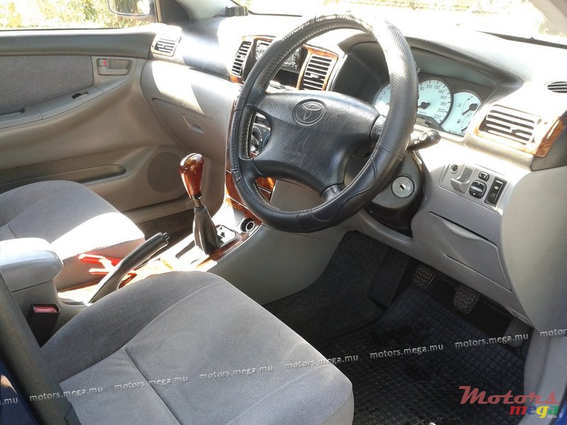 2002' Toyota Corolla XLI photo #6