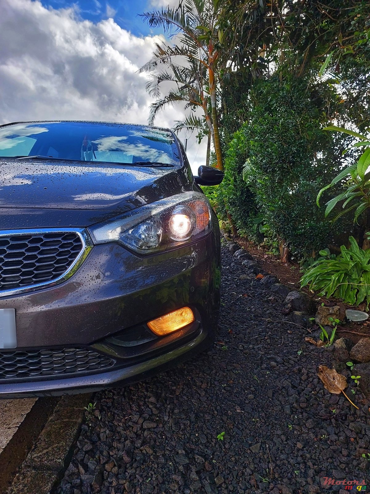 2015' Kia Cerato photo #1