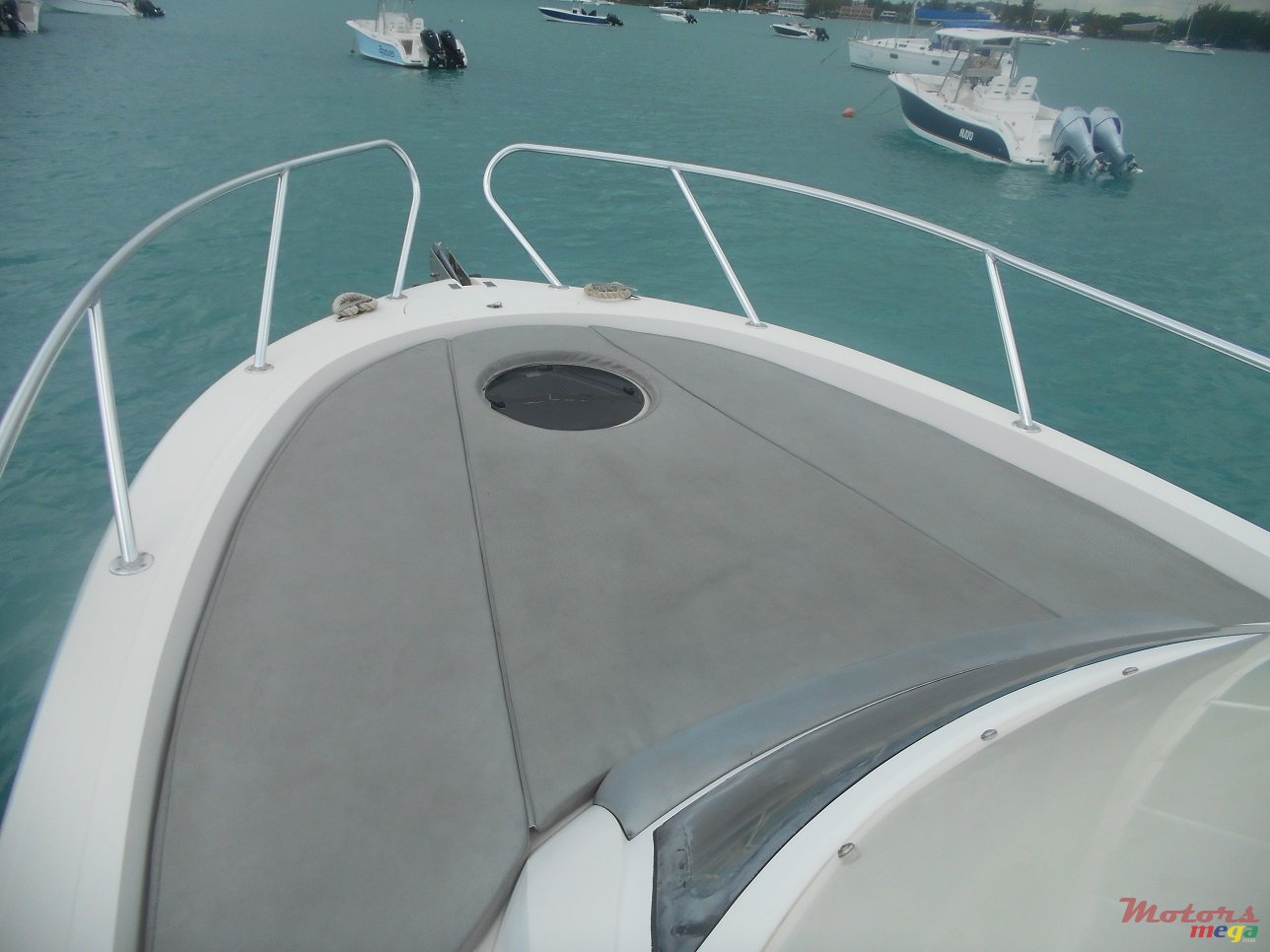 2011' Evinrude photo #3