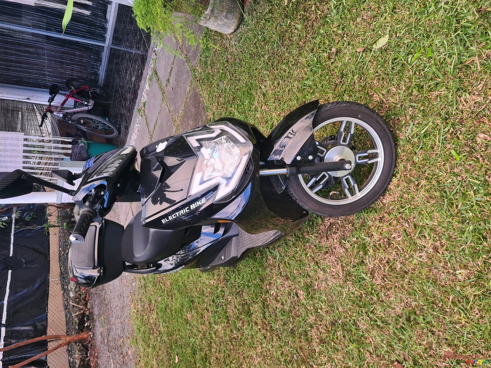 2023' Speed Shek photo #1