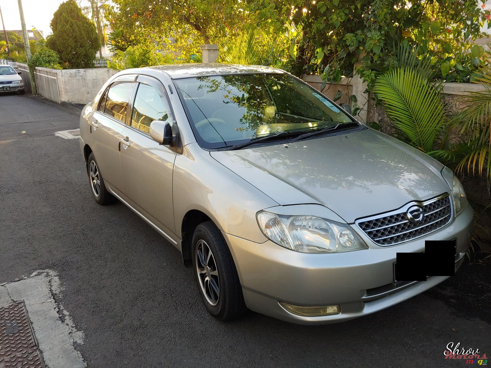 2001' Toyota Corolla NZE Grade x photo #1