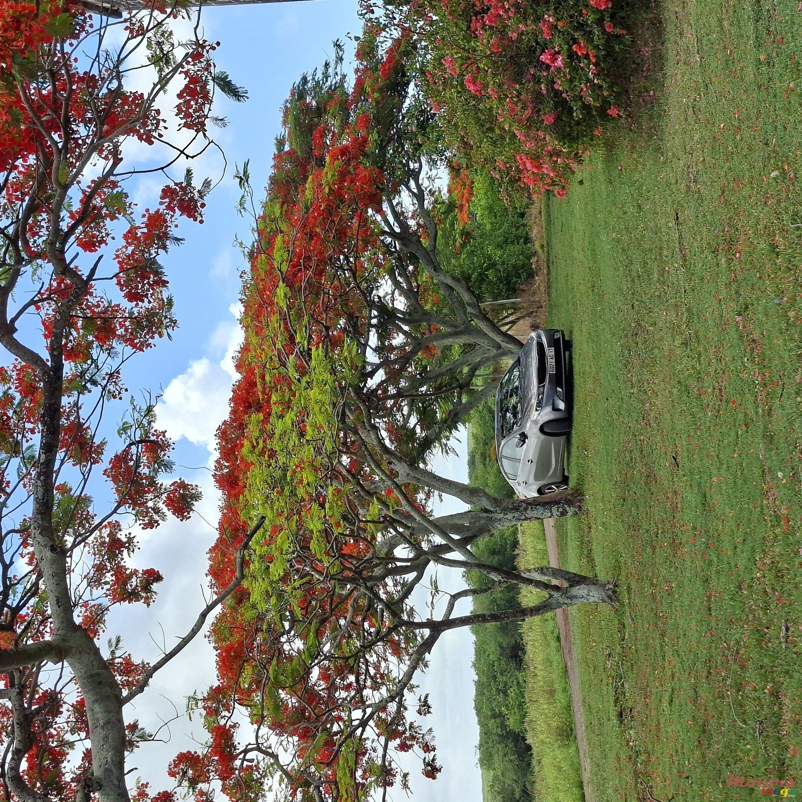 2017' Kia Cerato photo #3